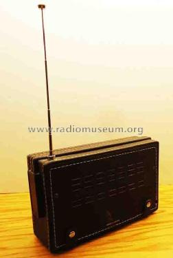 RD52Y FM-AM Solid State ; Zenith Radio Corp.; (ID = 1996503) Radio