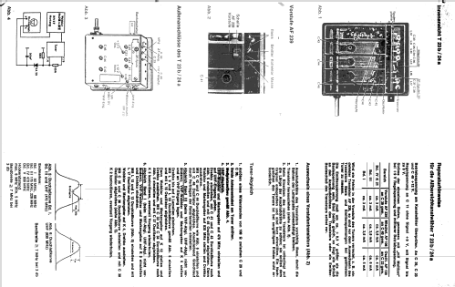 FS-1000; Braun; Frankfurt (ID = 1457594) Fernseh-E