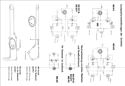 MS65; Grundig Radio- (ID = 99660) Radio