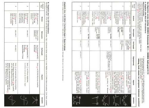 Triumph 2000; Grundig Radio- (ID = 1520142) Fernseh-E