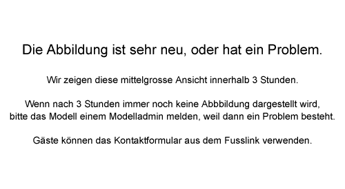 Zauberspiegel Hohenstein Ch= T460; Grundig Radio- (ID = 3178839) Television