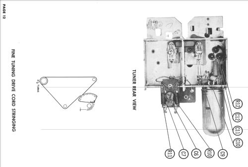 SP3181U Ch= 420U; Hoffman Radio Corp.; (ID = 2459449) Televisión