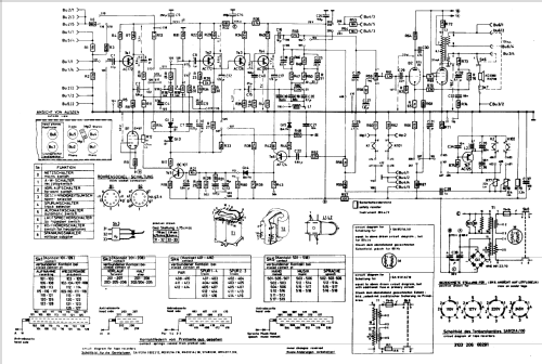 Diola-Automatic-Super WM9121A; Horny Hornyphon; (ID = 666466) Reg-Riprod