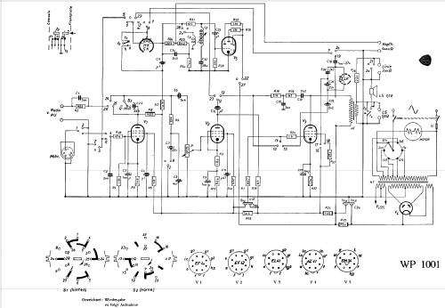 Virtuoso WP1001; Horny Hornyphon; (ID = 113971) R-Player