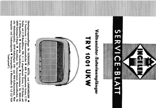 TRV1001UKW; Ingelen, (ID = 1738674) Radio
