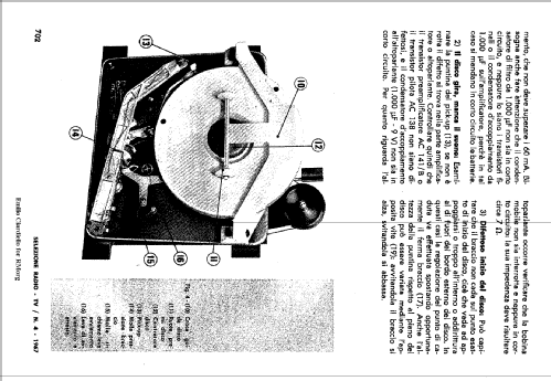 Mini Irradiette ; Irradio; Milano (ID = 572104) Reg-Riprod