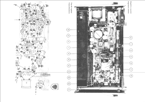 TR303; Minerva Ital-Minerva (ID = 295094) Radio