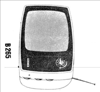 Safári B265 Ch= TV-381-1; Philco Rádio e (ID = 2503772) Television