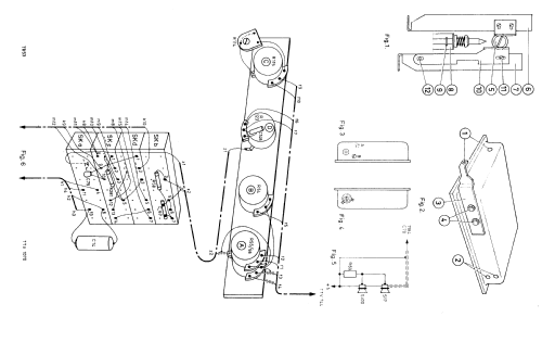 25TX564A /16 /66; Philips; Eindhoven (ID = 1514448) Television