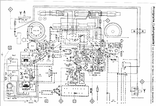 Annette Automatic L5D52T; Philips Radios - (ID = 404364) Radio