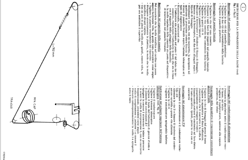 Radio Recorder RR55 22RR505 /19R; Philips; Eindhoven (ID = 500051) Radio