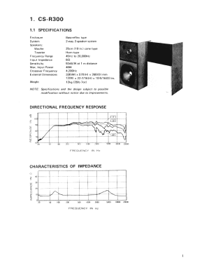 CS-R300; Pioneer Corporation; (ID = 3021714) Speaker-P