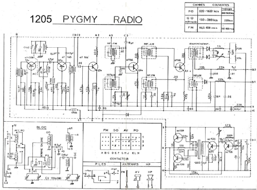 1205; Pygmy, Ciate-Pygmy (ID = 2771050) Radio