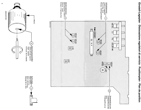 CD90; SABA; Villingen (ID = 1987891) Reg-Riprod