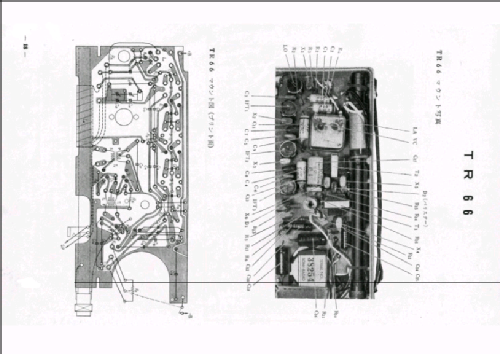Transistor Six TR66 Ch= R6-D; Sony Corporation; (ID = 1542284) Radio
