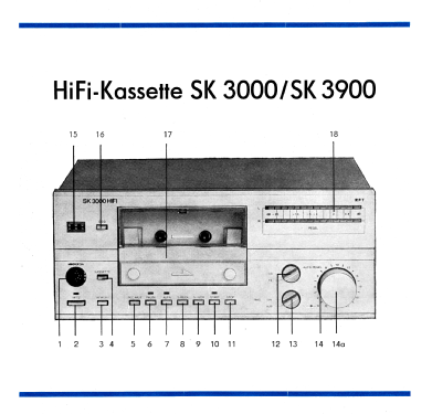 ST3000HIFI; Stern-Radio (ID = 1969820) Radio