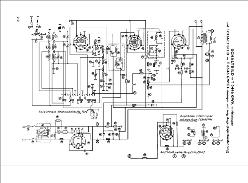 6446GWK-Exp. ; Telefunken (ID = 36232) Radio