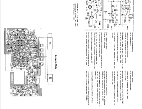 famulus 101; Telefunken (ID = 1893496) Radio