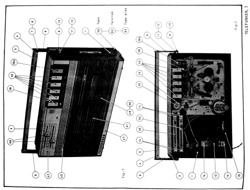 K-81; Telefunken (ID = 2619768) Enrég.-R