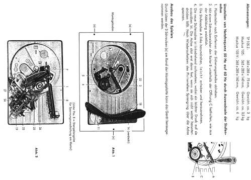 Musikus 105V; Telefunken (ID = 548213) R-Player