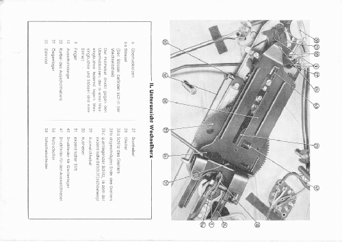 Musikus D; Telefunken (ID = 1049357) R-Player