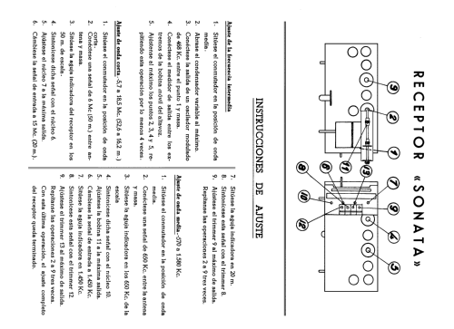 Sonata U4165; Telefunken (ID = 2067046) Radio