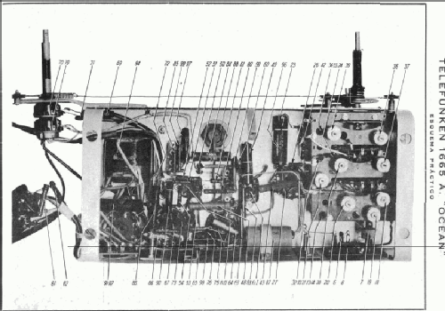 Ocean 1665A; Telefunken (ID = 272776) Radio