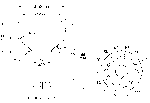 d_philips_xp2050_socket.png