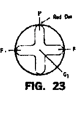 ray_f23_6.png