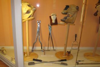 Germany: Dentalhistorisches Museum in 04680 Colditz OT Zschadraß